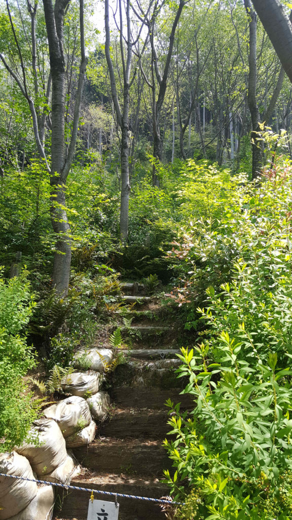 Chemin interdit dans le jardin d'un temple, à Kyoto